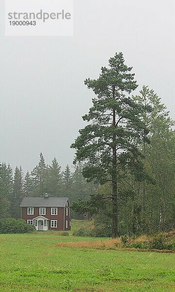 Traditionelles schwedisches Haus und Baum bei Backefors