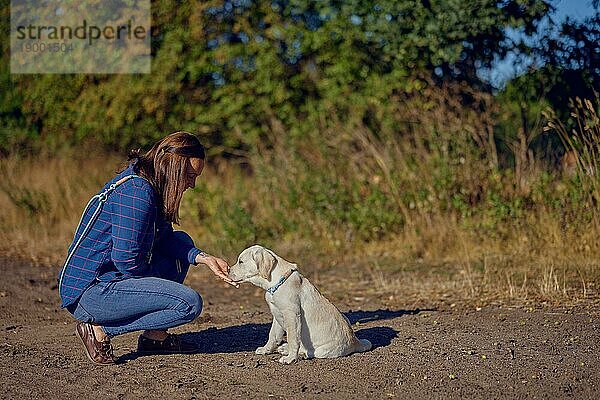 Glückliche brünette Frau mittleren Alters  die mit ihrem kleinen Labrador Retriever Welpen im goldenen Sonnenlicht trainiert  mit Kopiervorlage oben