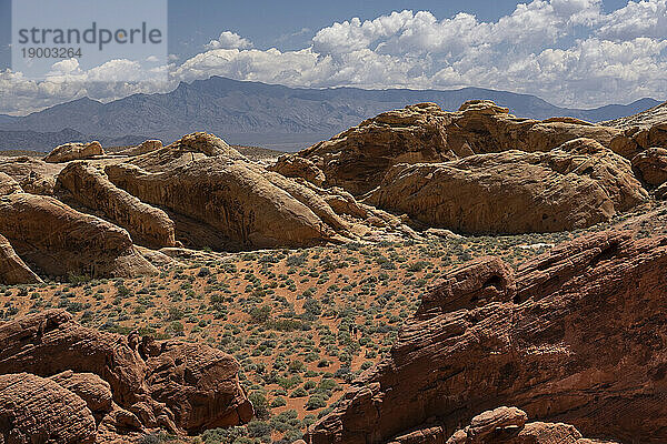 Touristen wandern durch die Wüstenlandschaft des Valley of Fire State Park  Nevada  Vereinigte Staaten von Amerika  Nordamerika