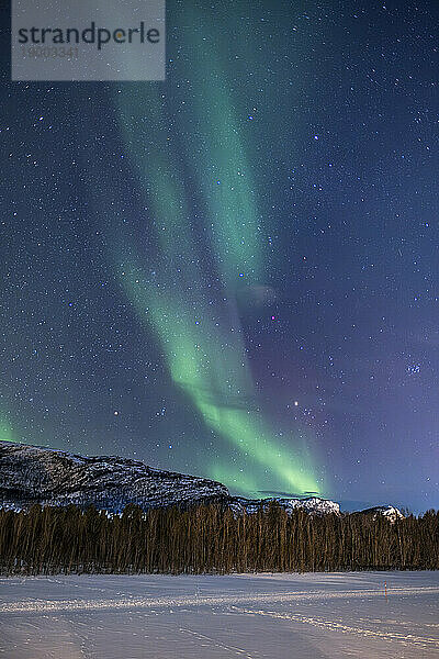 Aurora Borealis (Nordlichter) über dem Fluss Alta  in der Nähe von Alta  Polarkreis  Norwegen  Skandinavien  Europa