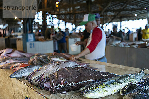 Fischmarkt  Manta  Manabi  Ecuador  Südamerika