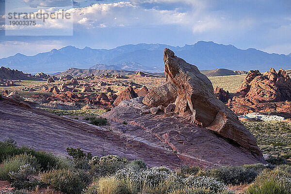 Felsformationen und Wüstenlandschaft bei Sonnenuntergang  Valley of Fire State Park  Nevada  Vereinigte Staaten von Amerika  Nordamerika