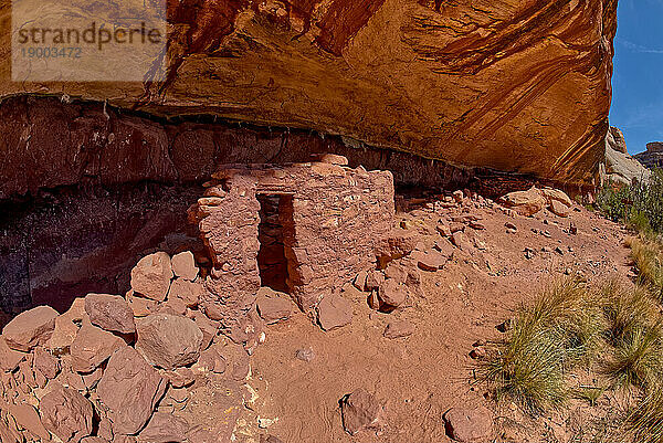 Die Pferdehalsbandruinen zwischen der Sipapu-Bogenbrücke und der Kachina-Bogenbrücke  Natural Bridges National Monument  Utah  Vereinigte Staaten von Amerika  Nordamerika