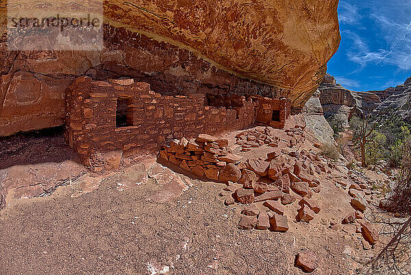 Die Pferdehalsbandruinen zwischen der Sipapu-Bogenbrücke und der Kachina-Bogenbrücke  Natural Bridges National Monument  Utah  Vereinigte Staaten von Amerika  Nordamerika