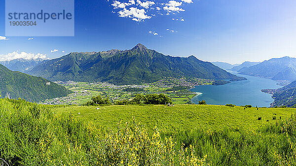Panorama von Monte Legnone und Alto Lario von blühenden Wiesen über dem Comer See  Bugiallo  Provinz Como  Lombardei  italienische Seen  Italien  Europa