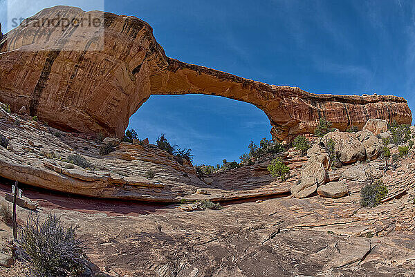 Die Owachomo-Brücke (Felshügel in Hopi)  Natural Bridges National Monument  Utah  Vereinigte Staaten von Amerika  Nordamerika