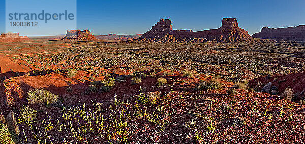 Tal der Götter  gesehen vom Südhang der Felsformation namens Rudolph und Santa  nordwestlich von Monument Valley und Mexican Hat  Utah  Vereinigte Staaten von Amerika  Nordamerika