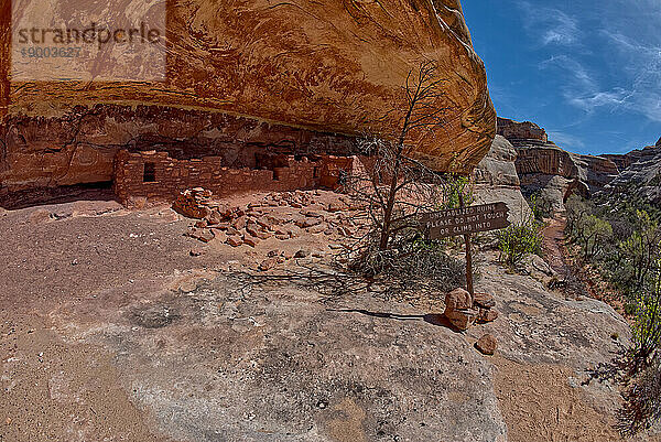 Die Pferdehalsbandruinen mit einem Schild  das davor warnt  sie wegen Instabilität zu stören  liegen zwischen der Sipapu-Bogenbrücke und der Kachina-Bogenbrücke  Natural Bridges National Monument  Utah  Vereinigte Staaten von Amerika  Nordamerika