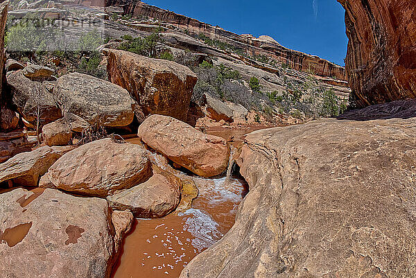 Ein kleiner Wasserfall in der Nähe der Kachina Bridge im Deer Canyon  Natural Bridges National Monument  Utah  Vereinigte Staaten von Amerika  Nordamerika