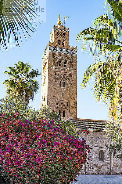 Alter Minarettturm der Koutoubia-Moschee  UNESCO-Weltkulturerbe  umrahmt von Blumen im Frühling  Marrakesch  Marokko  Nordafrika  Afrika