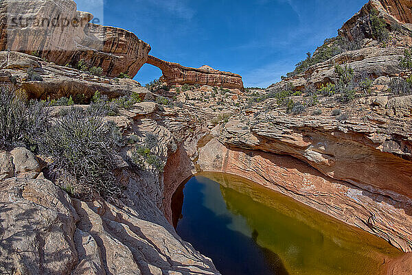 Die Owachomo-Brücke (Felshügel in Hopi)  Natural Bridges National Monument  Utah  Vereinigte Staaten von Amerika  Nordamerika