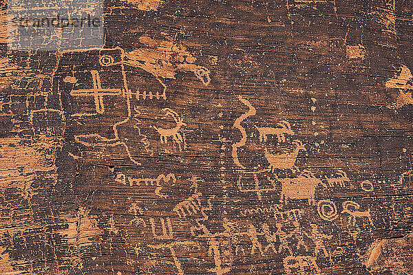 Felskunst der amerikanischen Ureinwohner (Petroglyphen) an der Canyonwand  Petroglyph Canyon  Mouse's Tank Trail  Valley of Fire State Park  Nevada  Vereinigte Staaten von Amerika  Nordamerika