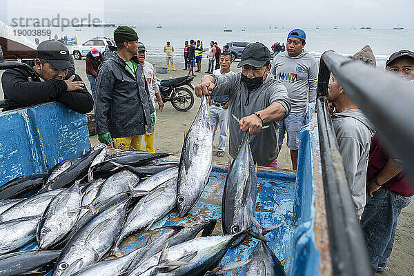 Fischmarkt  Tarqui Beach  Manta  Manabi  Ecuador  Südamerika