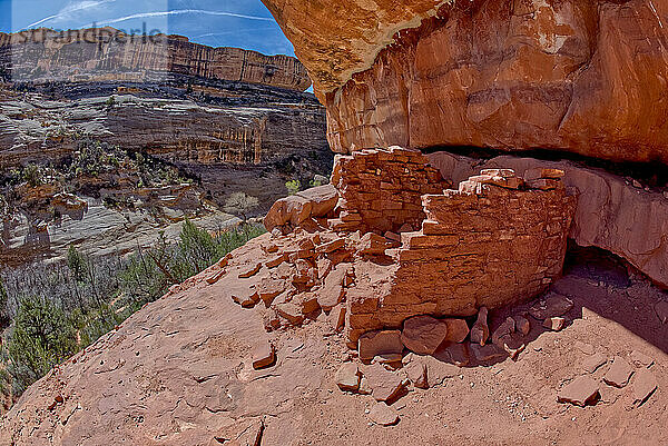 Die Pferdehalsbandruinen zwischen der Sipapu-Bogenbrücke und der Kachina-Bogenbrücke  Natural Bridges National Monument  Utah  Vereinigte Staaten von Amerika  Nordamerika