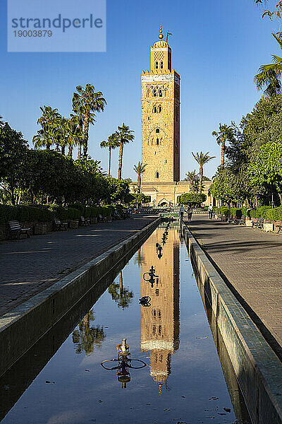 Alter Minarettturm der Koutoubia-Moschee  UNESCO-Weltkulturerbe  spiegelt sich im Wasser in einem palmengesäumten Park  Marrakesch  Marokko  Nordafrika  Afrika