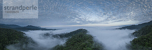 Luftaufnahme des Nebelwaldes  Mashpi  Reserva Mashpi Amagusa  Pichincha  Ecuador  Südamerika