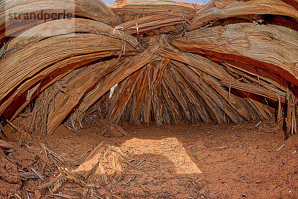 Interior of an Ancient Hogan used in Navajo ceremonies  in Navajo National Monument  Navajo Indian Reservation northwest of the town of Kayenta  Arizona  United States of America  North America