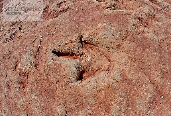 Dinosaurierspuren an einer Touristenattraktion im Navajo-Indianerreservat in der Nähe von Tuba City  Arizona  Vereinigte Staaten von Amerika  Nordamerika
