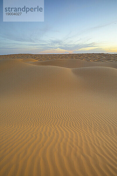 Frühlingssonnenuntergang vor den Toren der Sahara  mit den vom goldenen Licht beleuchteten Sanddünen  Tunesien  Nordafrika  Afrika