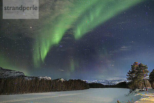 Aurora Borealis (Nordlichter) über dem Fluss Alta  in der Nähe von Alta  Polarkreis  Norwegen  Skandinavien  Europa