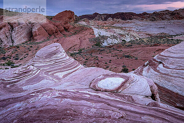 Die Feuerwelle bei Sonnenuntergang  Valley of Fire State Park  Nevada  Vereinigte Staaten von Amerika  Nordamerika