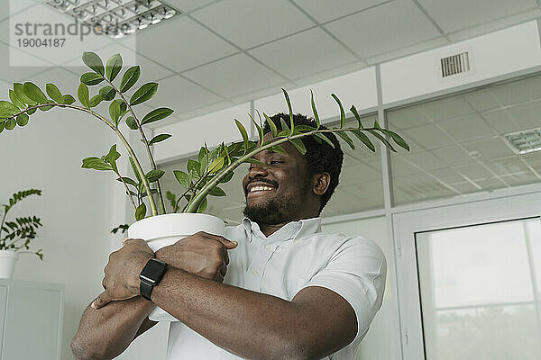 Smiling businessman embracing potted plant at office