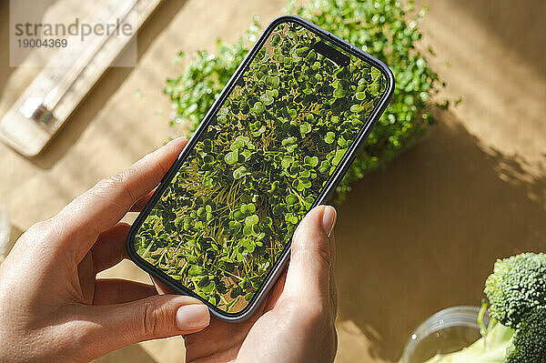 Frau fotografiert Microgreens mit Smartphone