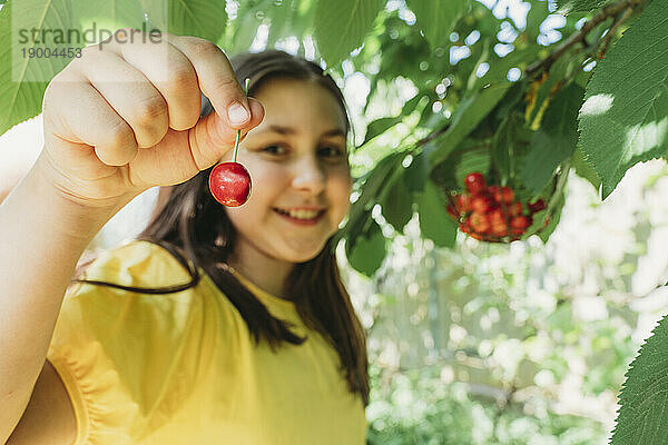 Happy girl wearing yellow t-shirt holding cherry in garden
