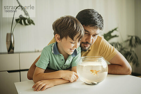 Glücklicher Vater und Sohn  die Goldfische in der Schüssel betrachten