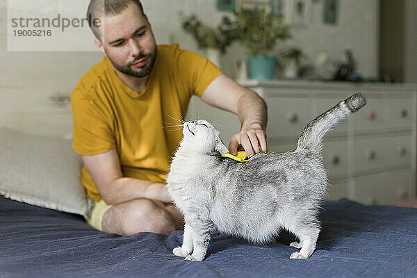 Man brushing cat sitting on bed at home