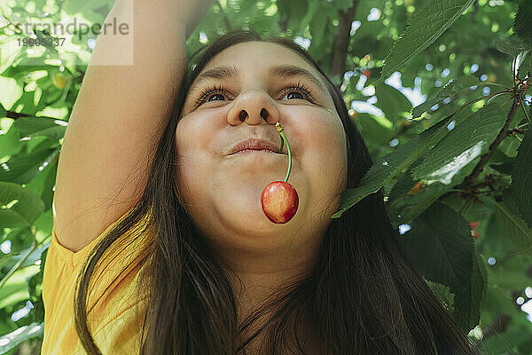 Happy girl with cherry in mouth