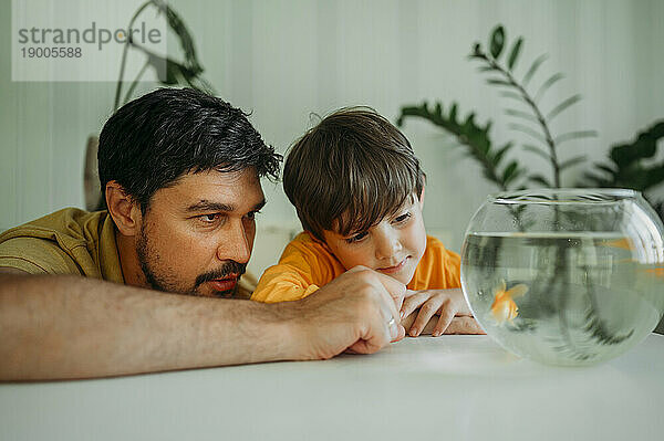 Vater und Sohn betrachten Fisch in der Schüssel