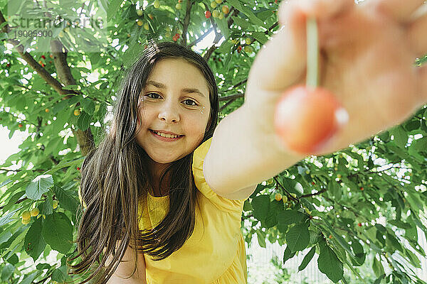 Lächelndes Mädchen zeigt Kirsche im Garten