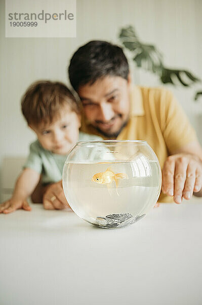 Father and son staring at fish in bowl on table