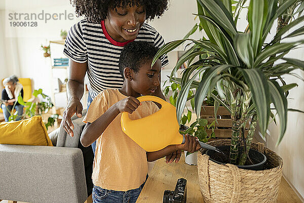 Glückliche Mutter mit Junge  der zu Hause Topfpflanzen gießt