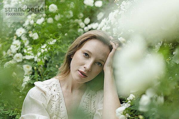 Junge schöne Frau mit der Hand im Haar am weißen Blütenstrauch