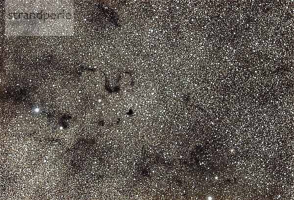 B72  LDN 1791  Schlangen Nebel  Dunkelnebel nahe dem Sternbild Rho Ophiuchus  Barnard 72