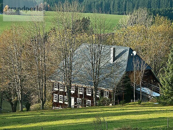 Schwarzwaldhof  bei Dörfle bei Neukirch  Schwarzwald  Baden-Württemberg  Deutschland  Europa