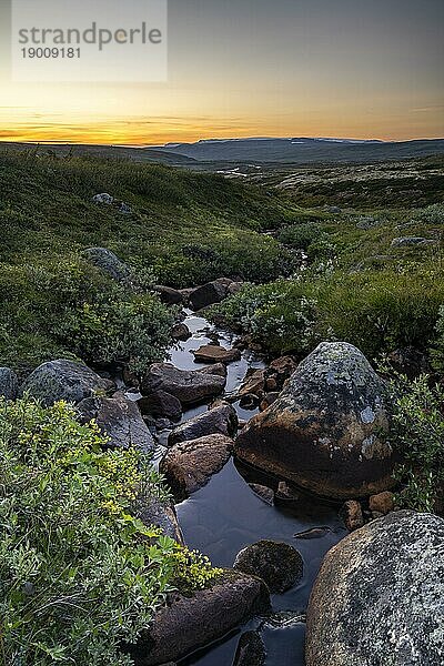 Kleiner Fluss in der Landschaft der Hochebene Hardanggervidda  Norwegen  Europa