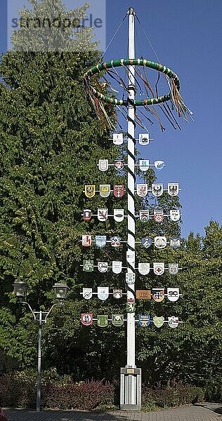 Maibaum neben dem Stadthaus Bad Münder Deutschland