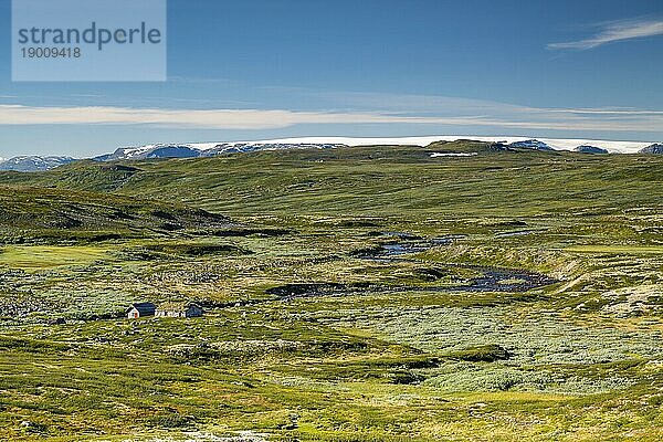 Landschaft der Hochebene Hardangervidda  Norwegen  Europa