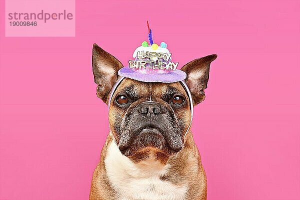 Französische Bulldogge Hund mit Happy Birthday Party Hut auf rosa Hintergrund