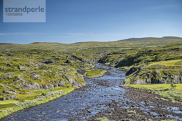 Fluss und Fjelllandschaft auf der Hochebene Hardangervidda  Norwegen  Europa