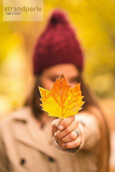 Hand einer Frau im Freien einer schönen jungen Frau in einem Wald im Herbst bei Sonnenuntergang