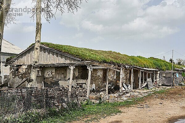 Traditionelles  zerfallendes Haus mit Grasdach  der im 19. Jahrhundert zugewanderten religiösen Gruppe der Duchoborzen  Duchoboren  Doukhobor  Dorf Gorelowka  Javakheti Plateau  Samtskhe Javakheti  Samzche-Dschawachetien  Georgien  Asien