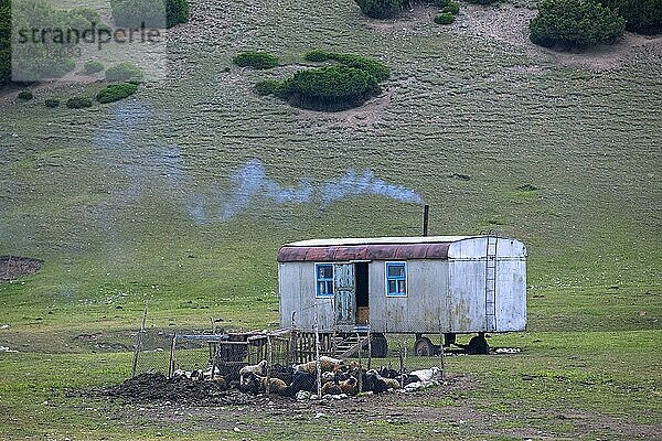 Schafstall und Anhänger  mobiles Nomadenheim in der Nähe von Sarytash im Alay Tal in der Region Osh  Kirgisistan