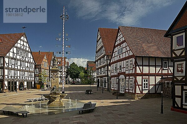 Marktplatz mit Marktbrunnen und Maibaum in der historischen Altstadt mit vielen Fachwerkhäusern  Hofgeismar  Hessen  Deutschland  Europa