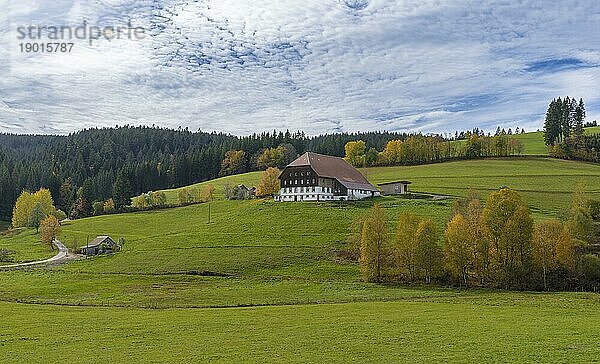 Traditionelles Bauernhaus im Jostal im Schwarzwald bei Titisee-Neustadt  Herbstlandschaft  Baden-Württemberg  Deutschland  Europa