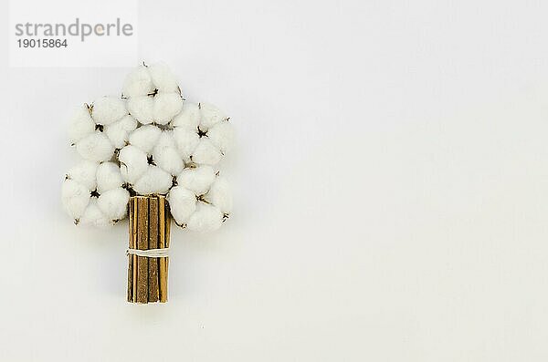 Draufsicht Baumwollblumenstrauß mit Kopierraum. Auflösung und hohe Qualität schönes Foto