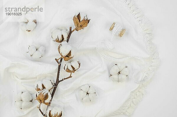 Draufsicht Baumwollblumen Arrangement. Auflösung und hohe Qualität schönes Foto